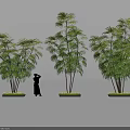 Three Tall Tropical Plants With Human Silhouette And Detailed Leaf Closeup