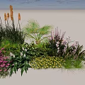 Vibrant Plant Combination For Garden With Purple Yellow Flowers And Green Foliage