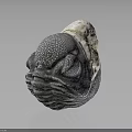 Gray Organ With Eyes And Hair Structure Featuring White Top And Textured Surface
