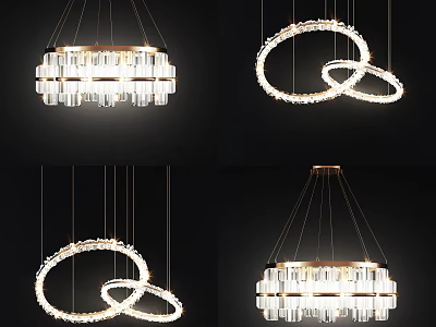 Modern Crystal Chandeliers With Circular Rings And Elegant Lighting Design 3d model