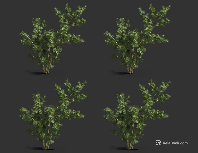 Lush Green Arbor Trees With Dense Foliage And Landscape Garden Setting 3d model 