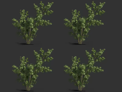 Lush Green Arbor Trees With Dense Foliage And Landscape Garden Setting 3d model
