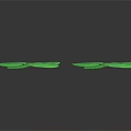 Two Fresh Green Pinnate Leaves Against Dark Background For Natural Decor
