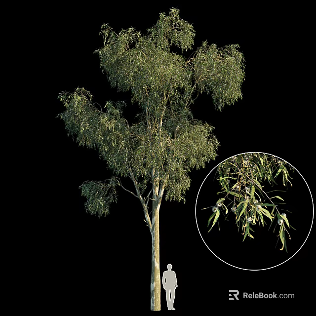 Lush Evergreen Arbor With Straight Trunk And Detailed Hanging Green Leaves 3d model 