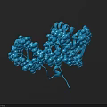 Organizational System Featuring Blue Helical And Globular Molecular Structure Model