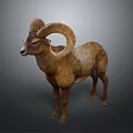 Wild Ram With Large Curved Horns And Brown Fur Standing On Gray Background