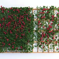 Lush Green Vines With Red Flowers Growing On Wooden Lattice Structure
