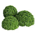 Three Green Round Decorative Bushes For Garden Landscape Design
