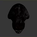 Detailed Gorilla Head 3D Model With Realistic Fur And Textures