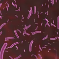 3D Rendered Microscopic View Of Purple Bacteria Microorganisms On Red Background