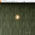 Green Wooden Floor Surface With Round Light In The Center