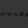 Green Trees With Lush Foliage And Various Sizes Arranged In Row On Gray Background