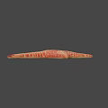 Red Orange Starfish With Detailed Textured Surface On Gray Background