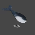 Realistic Black Whale Figurine With Sleek Glossy Surface Against Gray Background