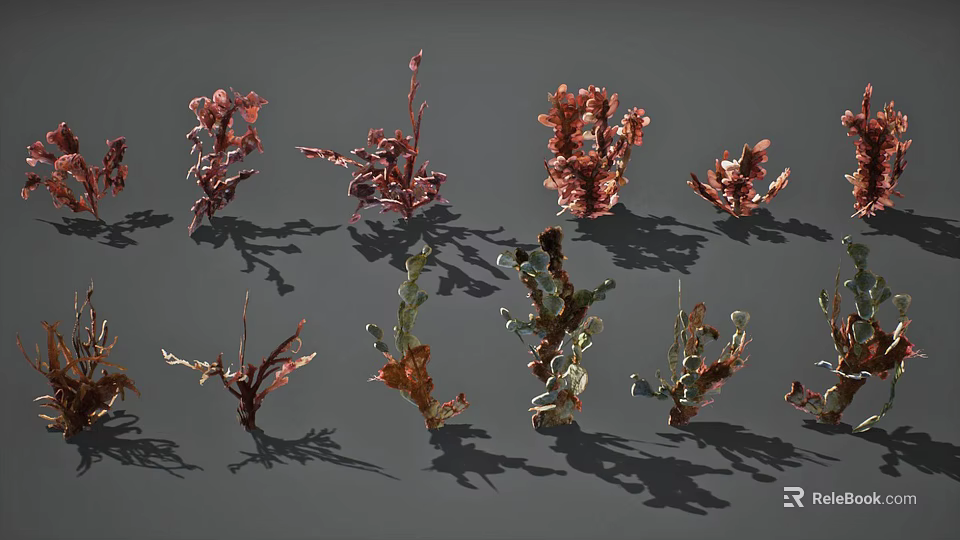 Various Aquatic Plants Featuring Red And Green Leafy Foliage In Different Shapes 3d model 