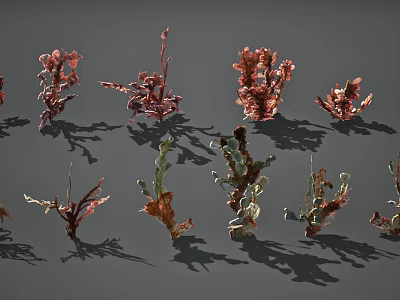 Various Aquatic Plants Featuring Red And Green Leafy Foliage In Different Shapes 3d model