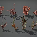 Various Aquatic Plants Featuring Red And Green Leafy Foliage In Different Shapes