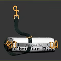 Christian Dior Newspaper Print Saddle Handbag With Green Strap And Gold Hardware