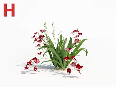 Blooming Red Flowers With Lush Green Leaves In Natural Garden Bouquet 3d model