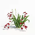 Blooming Red Flowers With Lush Green Leaves In Natural Garden Bouquet