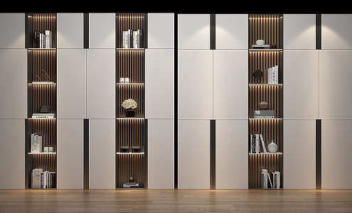 Modern Bookcase Wardrobe 3d model