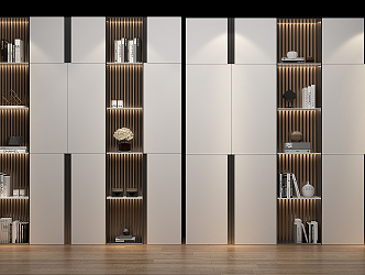 Modern Bookcase Wardrobe 3d model