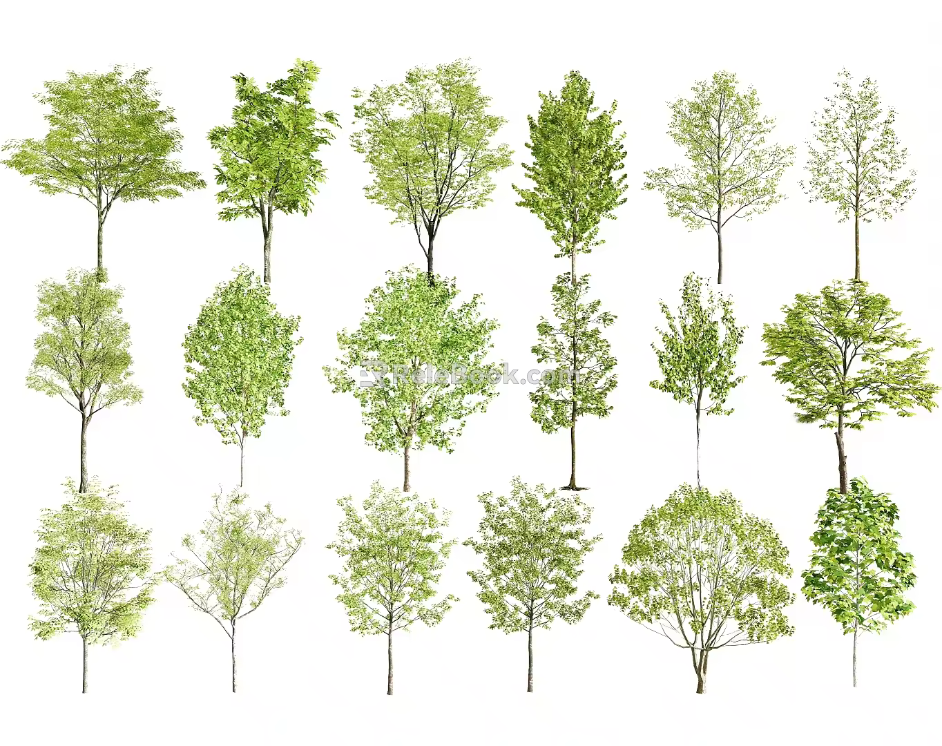 Landscape trees, street trees, courtyard trees, skeleton trees, evergreen trees 3d model