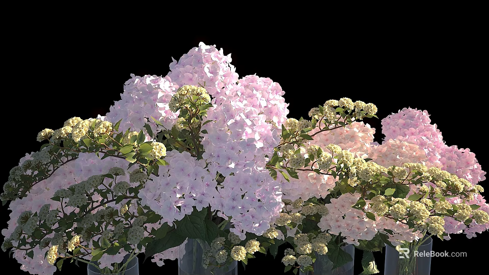 Fresh Hydrangea And White Small Flowers With Green Leaves In Transparent Vases On Black Background 3d model 