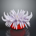 Vibrant Sea Anemone With White Tentacles And Red Base Featuring Yellow Spots