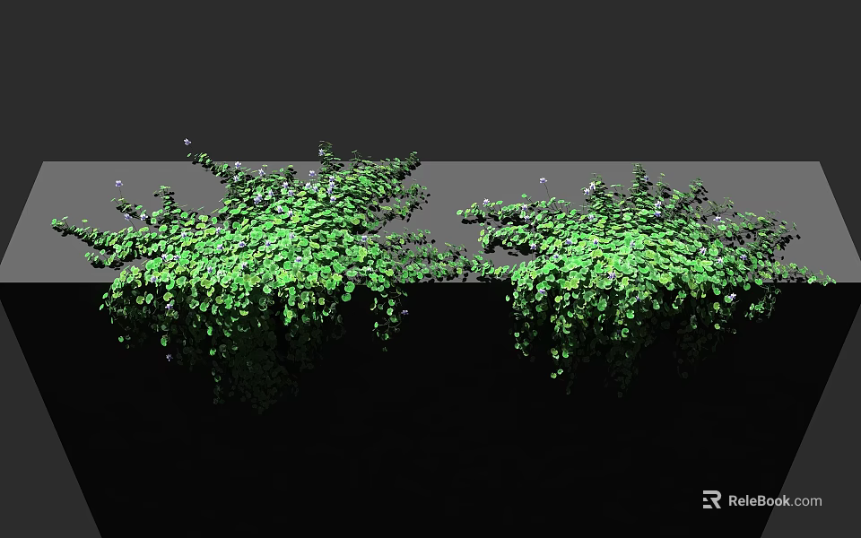 Green Bushes With Lush Foliage And Hanging Vines On Gray Surface Against Black Background 3d model 