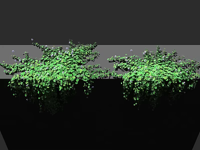 Green Bushes With Lush Foliage And Hanging Vines On Gray Surface Against Black Background 3d model