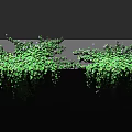 Green Bushes With Lush Foliage And Hanging Vines On Gray Surface Against Black Background