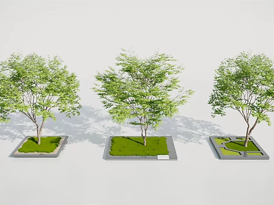 Three Square Outdoor Tree Planters with Lush Green Trees and Fresh Grass 3d model