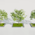 Three Square Outdoor Tree Planters with Lush Green Trees and Fresh Grass
