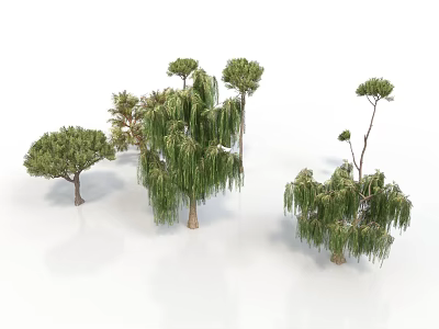 Various Green Trees With Different Shapes Including Weeping Willow And Pine On White Background 3d model