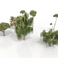 Various Green Trees With Different Shapes Including Weeping Willow And Pine On White Background