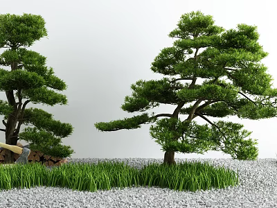 Garden Courtyard with Two Pine Trees Green Grass Gray Gravel and Small Statue 3d model