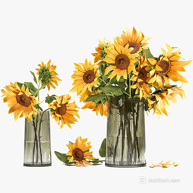 Two Elegant Glass Vases With Fresh Sunflowers And Scattered Petals 3d model 