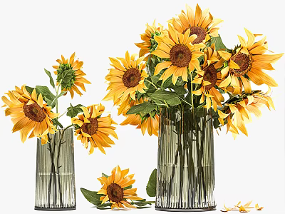 Two Elegant Glass Vases With Fresh Sunflowers And Scattered Petals 3d model