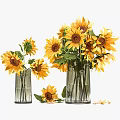 Two Elegant Glass Vases With Fresh Sunflowers And Scattered Petals
