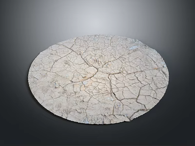 Dry Cracked Circular Surface With Deep Fissures And Rough Texture Against Dark Background 3d model