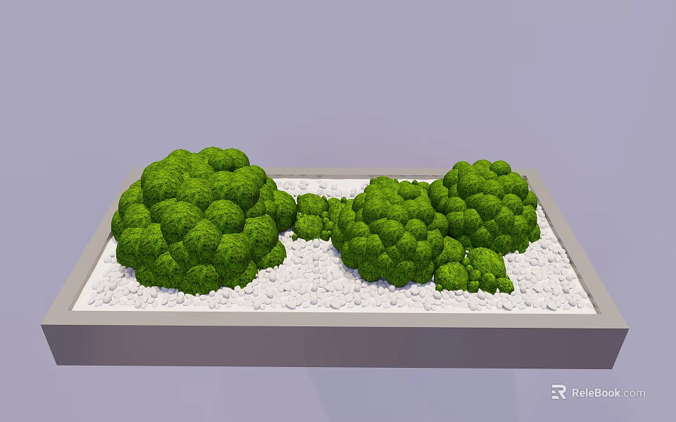 Lush Green Round Trimmed Plants In Light Gray Tray With White Pebbles 3d model 