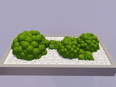Lush Green Round Trimmed Plants In Light Gray Tray With White Pebbles 3d model
