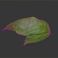 Vibrant fresh green leaf with clear visible veins on gray background