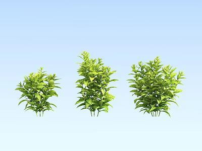 Lush Green Leafy Plants In Three Sizes Against Light Blue Background 3d model