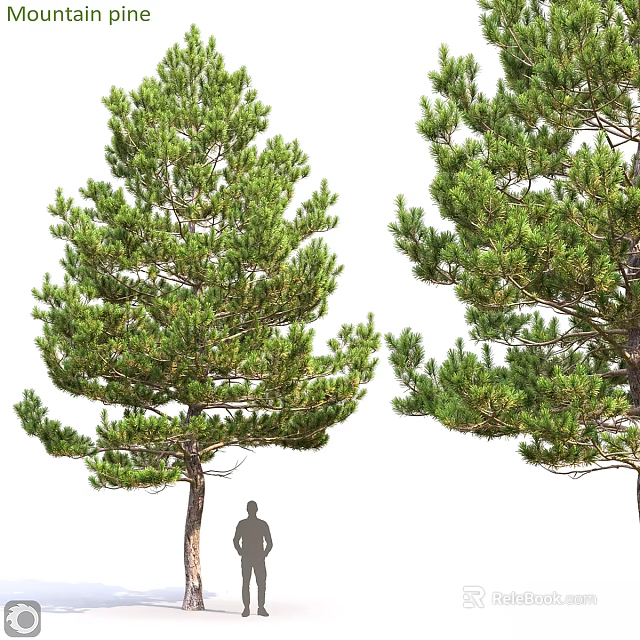 Artificial Pine Tree Decorative Ornament Set With Lifelike Size For Home Decor 3d model 