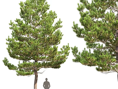 Artificial Pine Tree Decorative Ornament Set With Lifelike Size For Home Decor 3d model