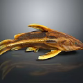 Unique Brown and Yellow Fish with Distinctive Fins and Body Structure on Dark Background