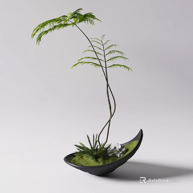Bonsai Plant With Feathery Green Leaves Slender Curved Stems In Black Pot With Lush Moss 3d model 