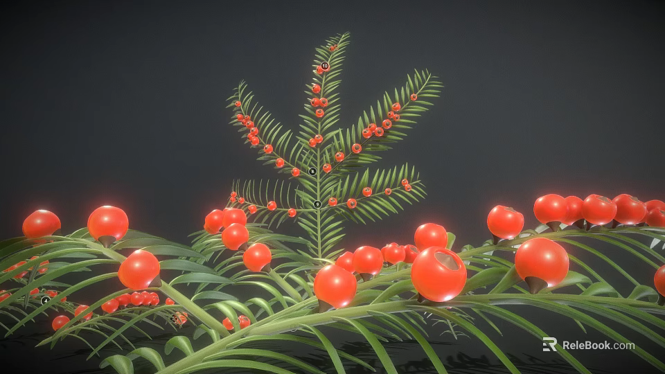 Lush Green Foliage With Vibrant Red Berries Decorative Plant For Home Decoration 3d model 